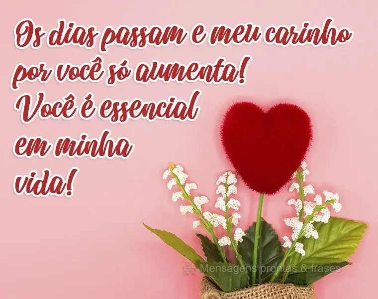 Os dias passam e meu carinho por você só aumenta! Você é essencial em minha vida!
