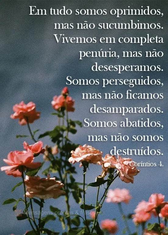 Em tudo somos oprimidos, mas não sucumbimos. Vivemos em completa penúria, mas não desesperamos. Somos perseguidos, mas não ficamos desamparados. Somo...