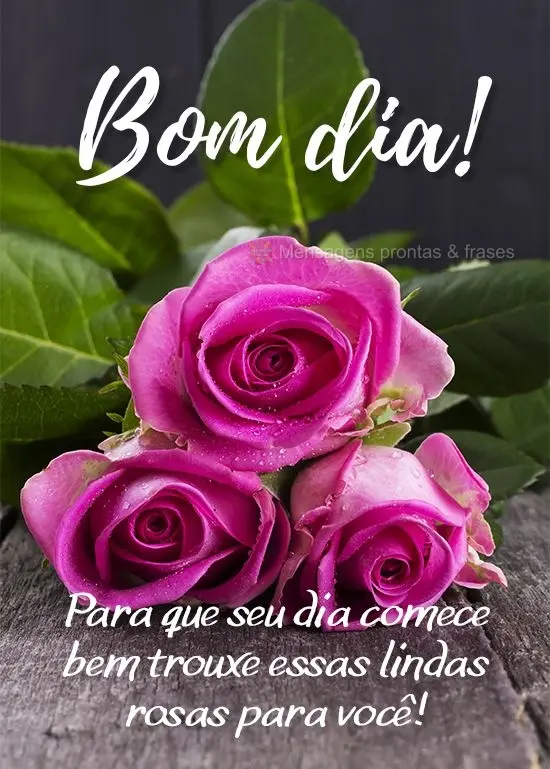 Para que seu dia comece bem trouxe essas lindas rosas para você! 
 Bom dia!