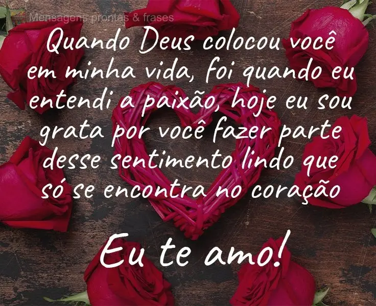 Quando Deus colocou você em minha vida, foi quando eu entendi a paixão. Hoje sou grata por você fazer parte desse sentimento lindo que só se encontra...