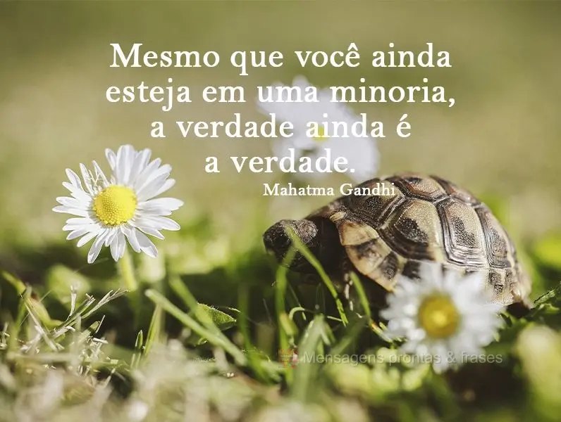 Mesmo que você ainda esteja em uma minoria, a verdade ainda é a verdade. Mahatma Gandhi