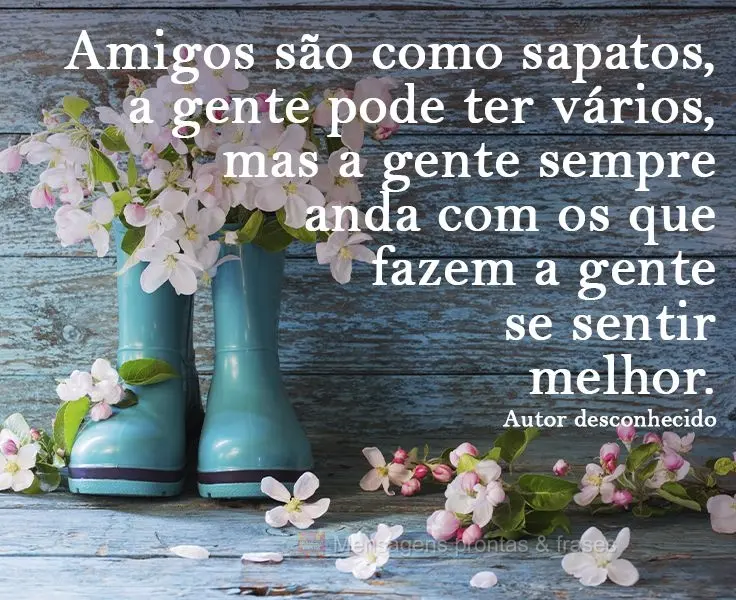 Amigos são como sapatos: a gente pode ter vários, mas a gente sempre anda com os que fazem a gente se sentir melhor. Autor desconhecido