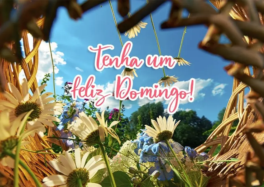 Tenha um Feliz Domingo!
