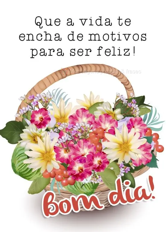 Que a vida te encha de motivos para ser feliz!
  Bom dia!