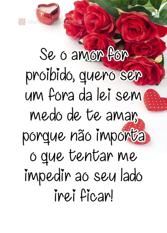 Se o amor for proibido, quero ser um fora da lei, sem medo de te amar. Porque não importa o que tentar me impedir, ao seu lado irei ficar!
