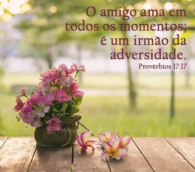 O amigo ama em todos os momentos; é um irmão na adversidade.
 Provérbios 17:17