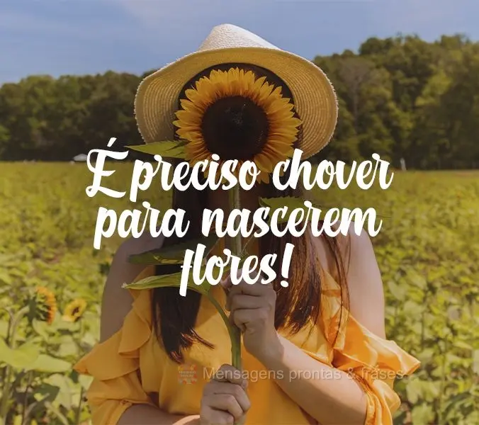 É preciso chover para nascerem flores!
