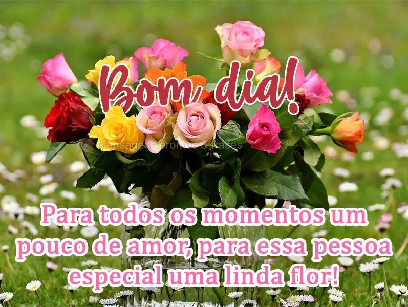 Para todos os momentos um pouco de amor, para essa pessoa especial uma linda flor!  Bom dia!