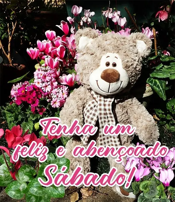 Tenha um Feliz e abençoado Sábado!