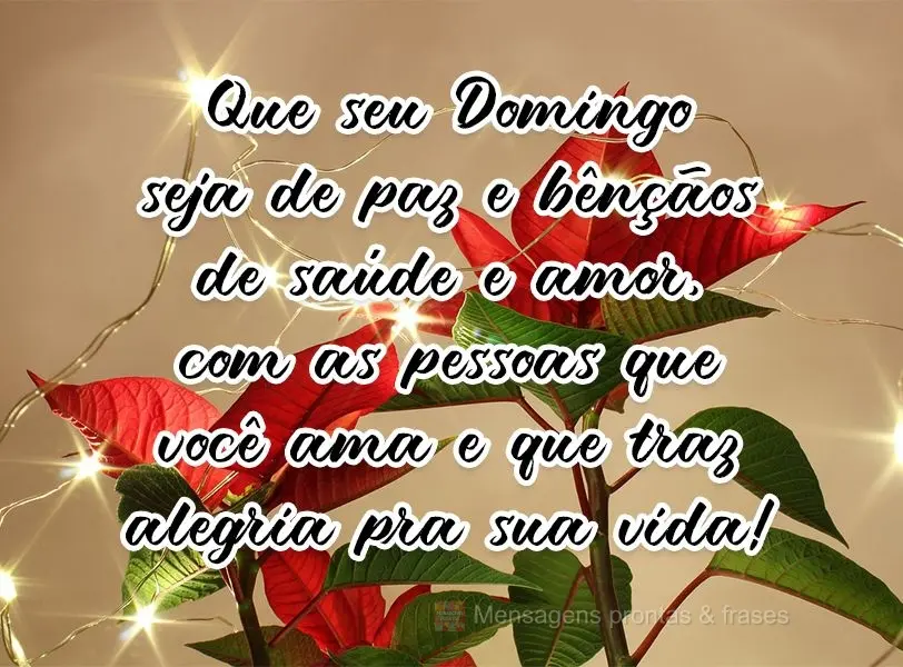 Que seu Domingo seja de paz e bênçãos de saúde e amor, com as pessoas que você ama e que traz alegria pra sua vida!