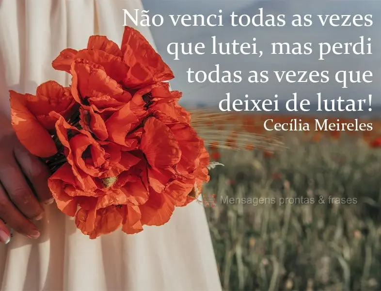 Não venci todas as vezes que lutei, mas perdi todas as vezes que deixei de lutar!  Cecília Meireles