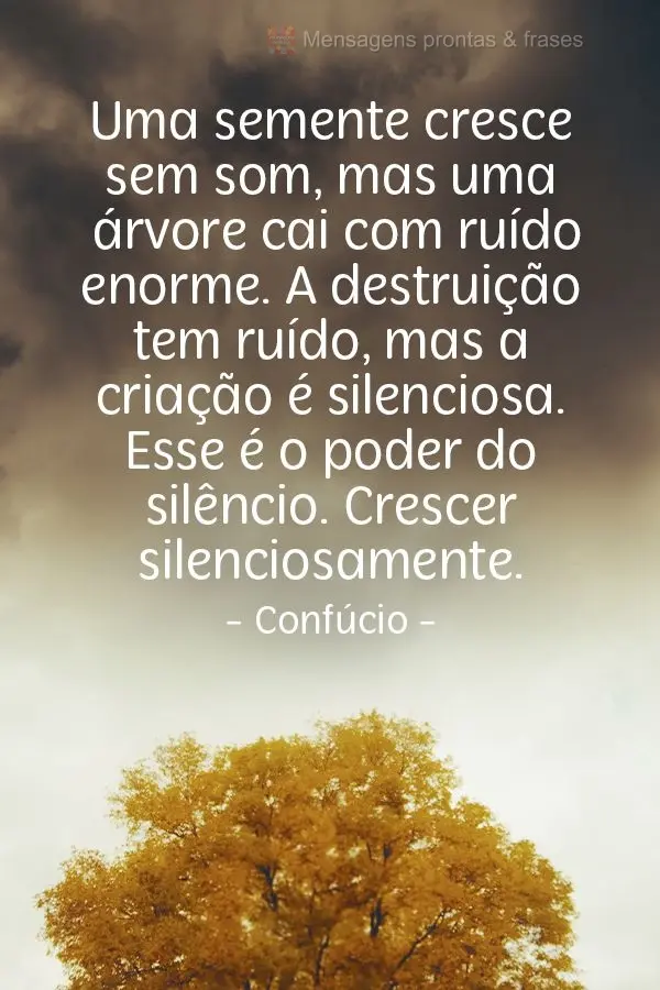 Uma semente cresce sem som, mas uma árvore cai com ruído enorme. A destruição tem ruído, mas a criação é silenciosa. Esse é o poder do silêncio...