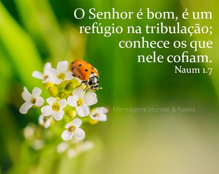 O Senhor é bom, é um refúgio na tribulação; conhece os que nele cofiam.  Naum1.7