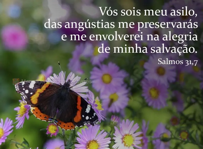 Vós sois meu asilo, das angústias me preservarás e me envolverei na alegria de minha salvação. Salmos 31,7