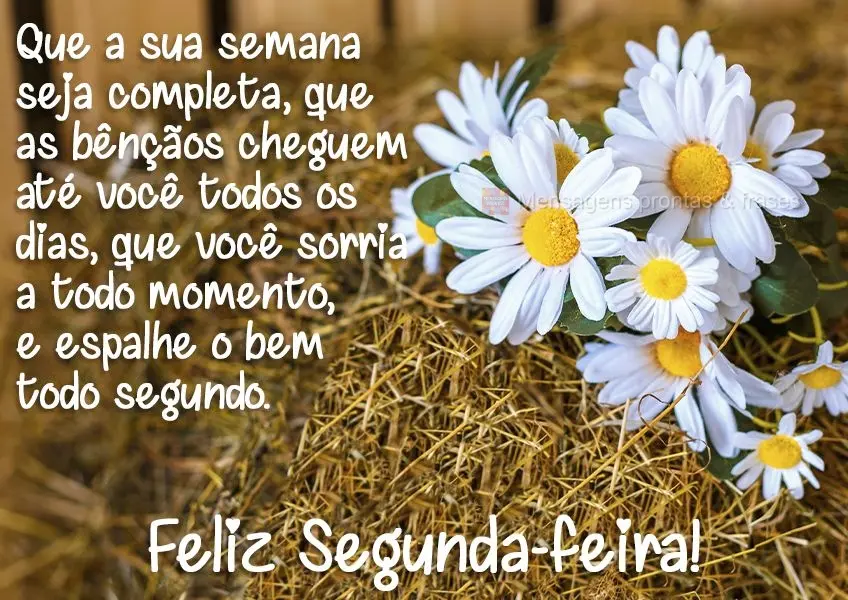 Que a sua semana seja completa, que as bênçãos cheguem até você todos os dias. Que você sorria a todo momento e espalhe o bem todo segundo.  Feliz ...