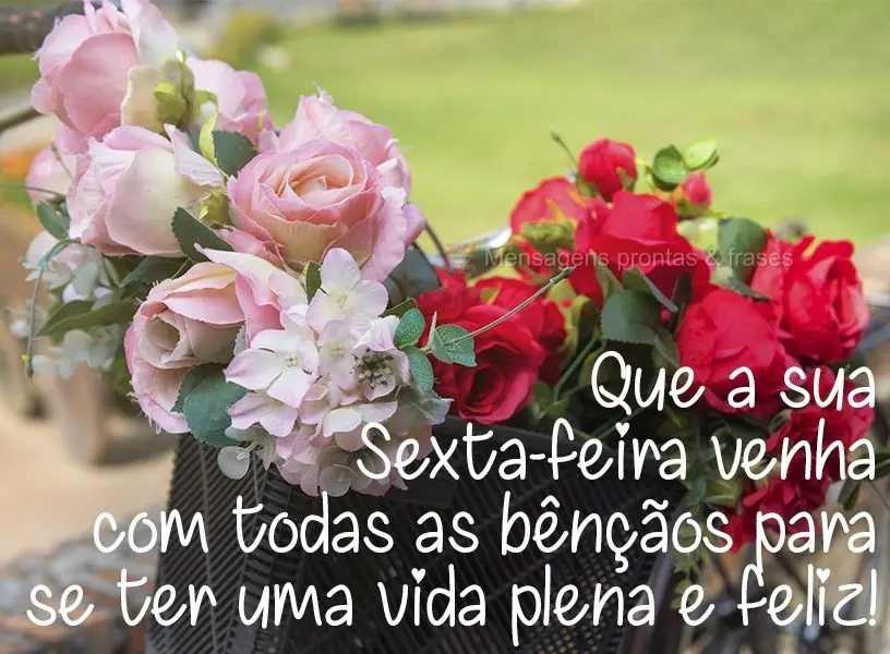 Que a sua Sexta-feira venha com todas as bênçãos para se ter uma vida plena e feliz!