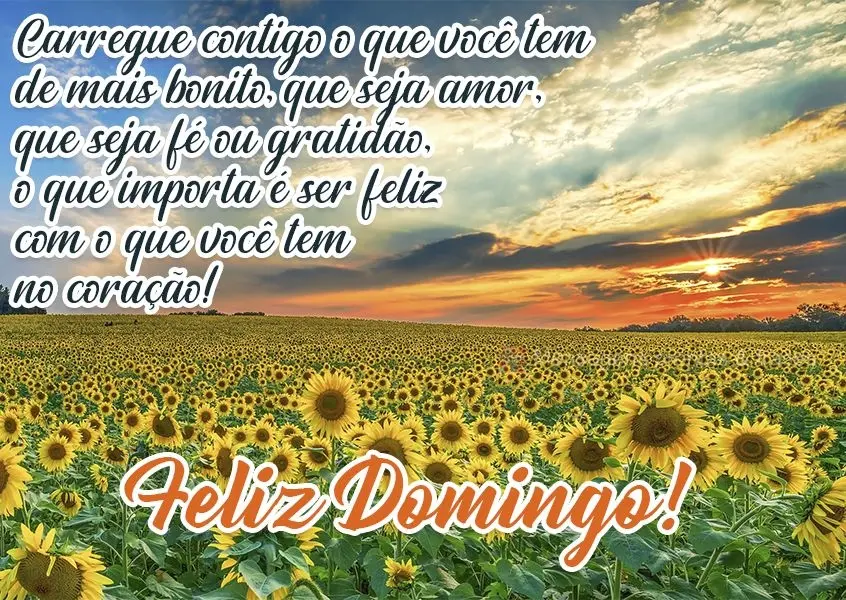 Carregue contigo o que você tem de mais bonito. Que seja amor, que seja fé ou gratidão, o que importa é ser feliz com o que você tem no coração!  ...