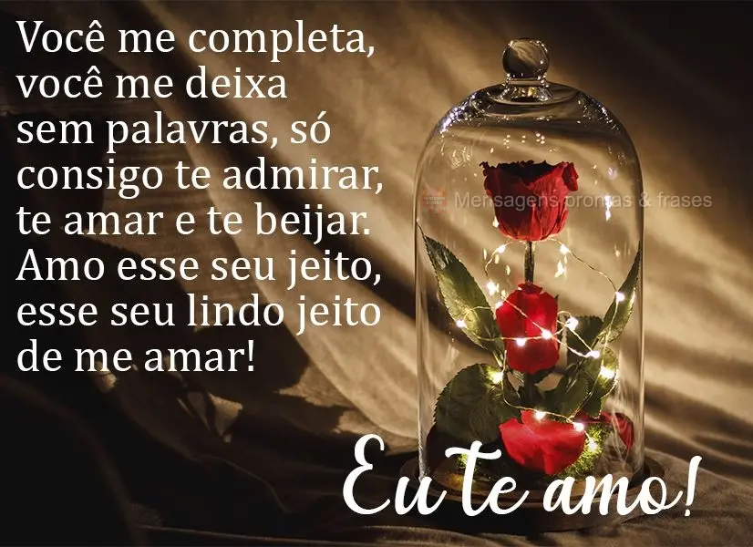 Você me completa. Você me deixa sem palavras. Só consigo te admirar, te amar e te beijar. Amo esse seu jeito, esse seu lindo jeito de me amar!  Eu te ...