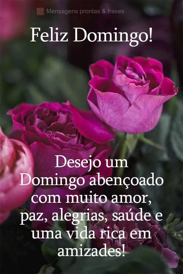 Desejo um Domingo abençoado com muito amor, paz, alegrias, saúde e uma vida rica em amizades! Feliz Domingo!