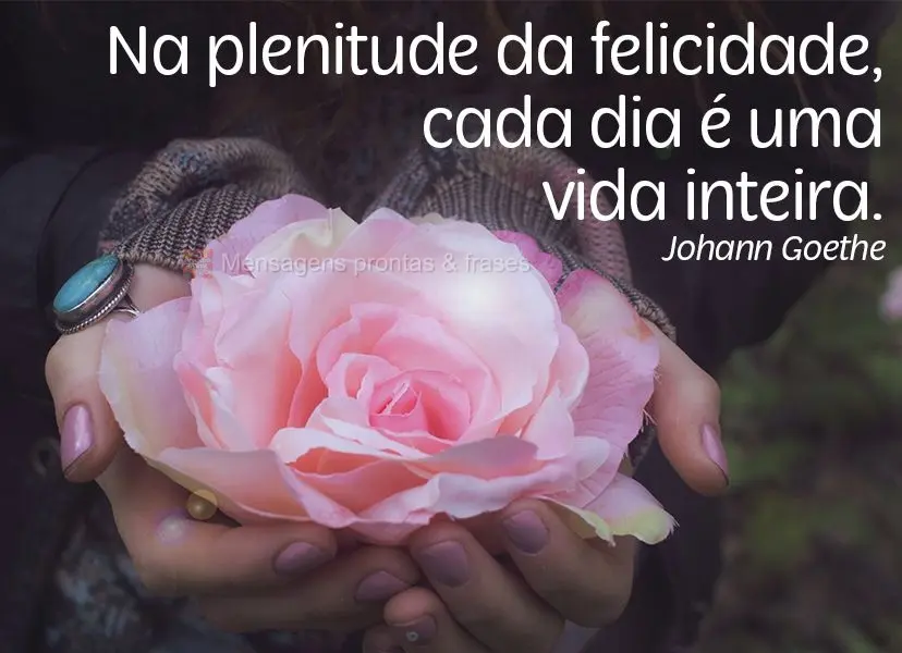 Na plenitude da felicidade, cada dia é uma vida inteira.  Johann Goethe