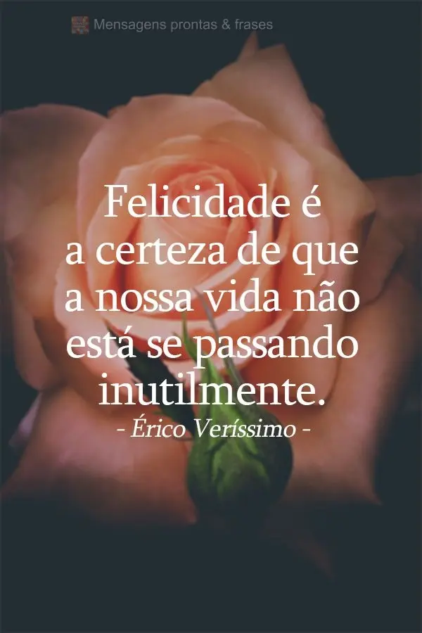 Felicidade é a certeza de que a nossa vida não está se passando inutilmente. Érico Veríssimo