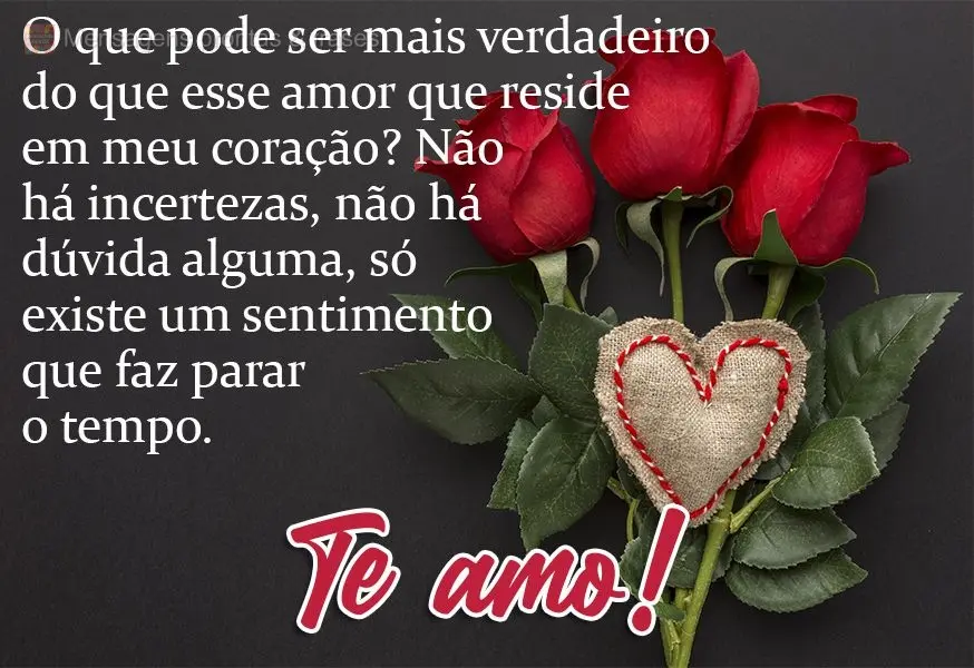 O que pode ser mais verdadeiro do que esse amor que reside em meu coração? Não há incertezas, não há dúvida alguma, só existe um sentimento que f...