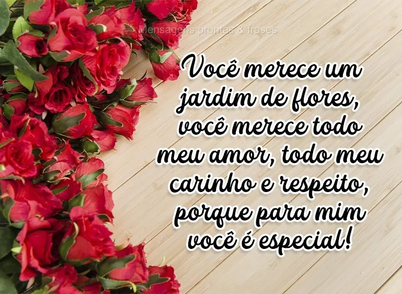 Você merece um jardim de flores. Você merece todo meu amor, todo meu carinho e respeito, porque para mim você é especial!