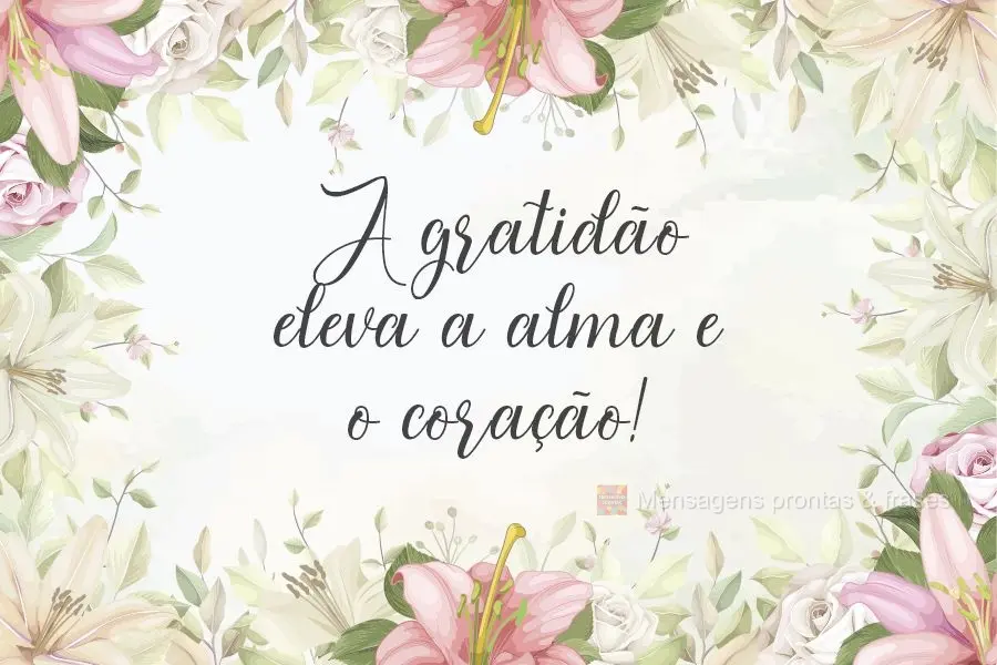 A gratidão eleva a alma e o coração!