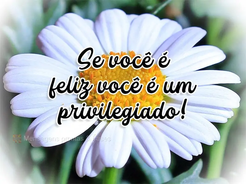 Se você é feliz você é um privilegiado!