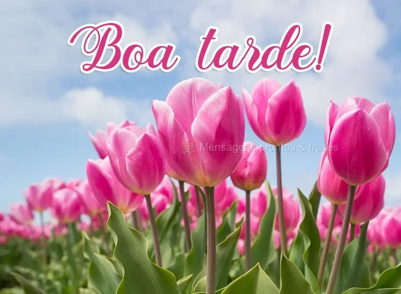 Boa tarde!