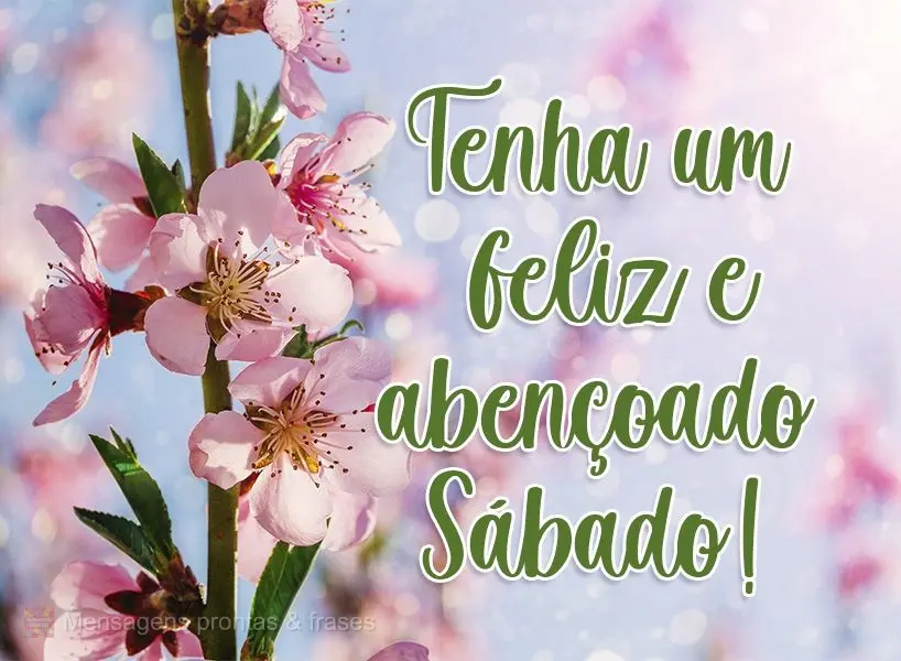 Tenha um feliz e abençoado Sábado!