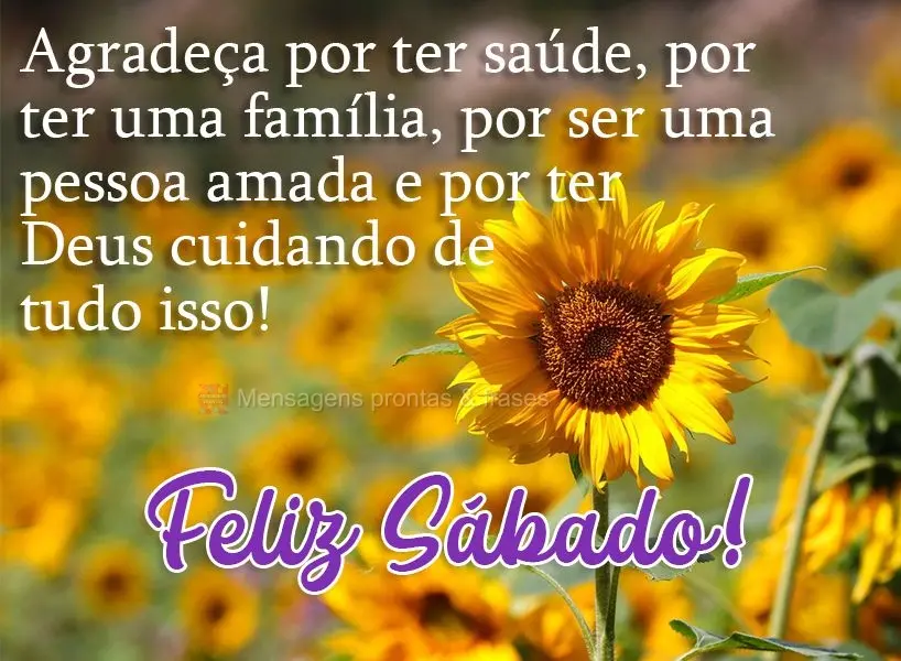 Agradeça por ter saúde, por ter uma família, por ser uma pessoa amada e por ter Deus cuidando de tudo isso!  Feliz Sábado!