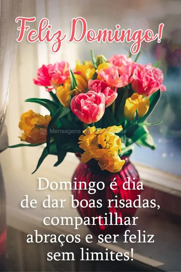 Domingo é dia de dar boas risadas, compartilhar abraços e ser feliz sem limites!  Feliz Domingo!