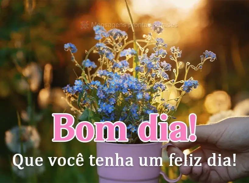 Que você tenha um feliz dia! Bom dia!