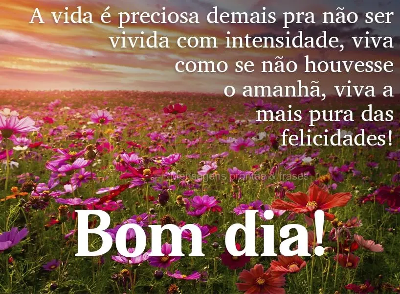 A vida é preciosa demais pra não ser vivida com intensidade. Viva como se não houvesse o amanhã, viva a mais pura das felicidades!  Bom dia!