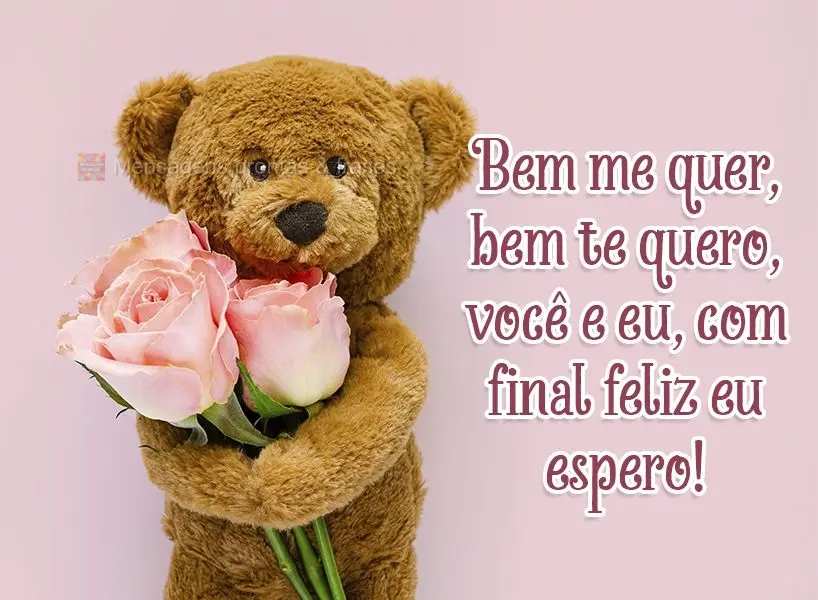 Bem me quer, bem te quero, você e eu, com final feliz eu espero!