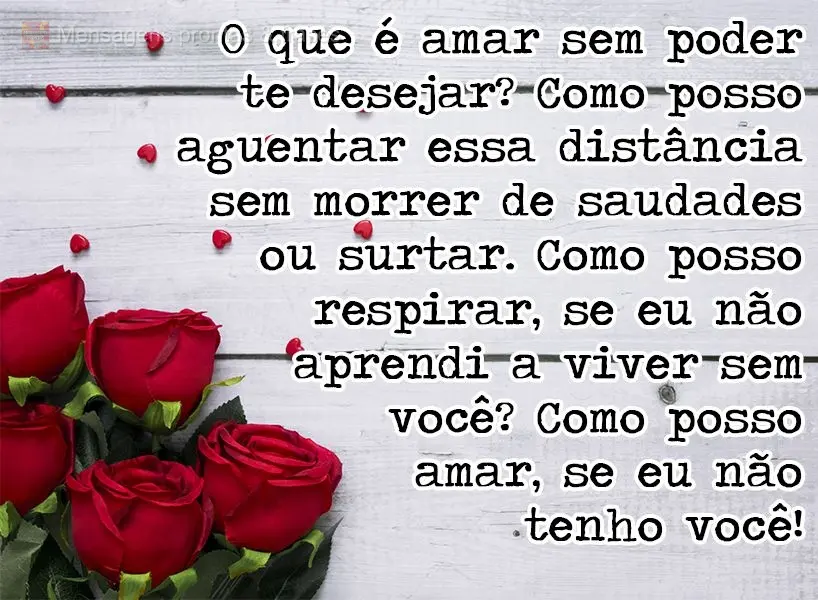 O que é amar sem poder te desejar? Como posso aguentar essa distância sem morrer de saudades ou surtar? Como posso respirar, se eu não aprendi a viver...