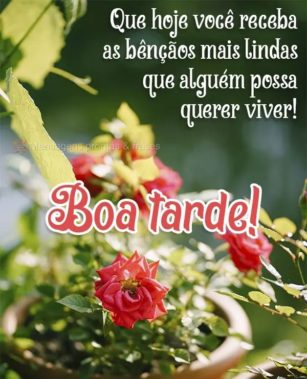 Que hoje você receba as bênçãos mais lindas que alguém possa querer viver! Boa tarde!