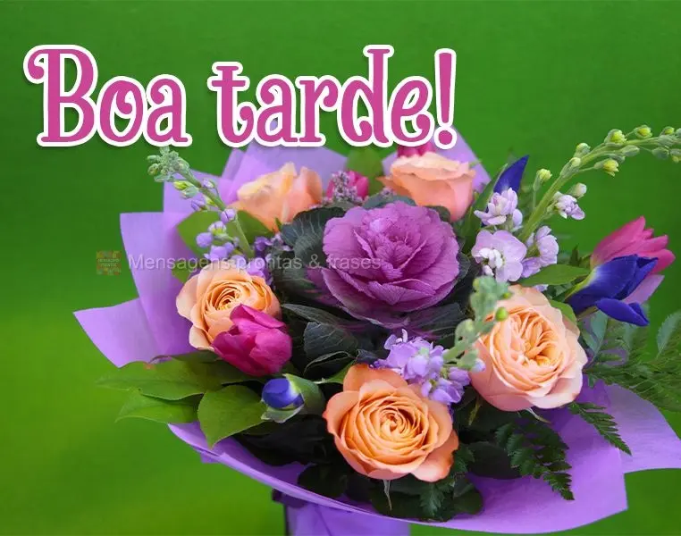 Boa tarde!