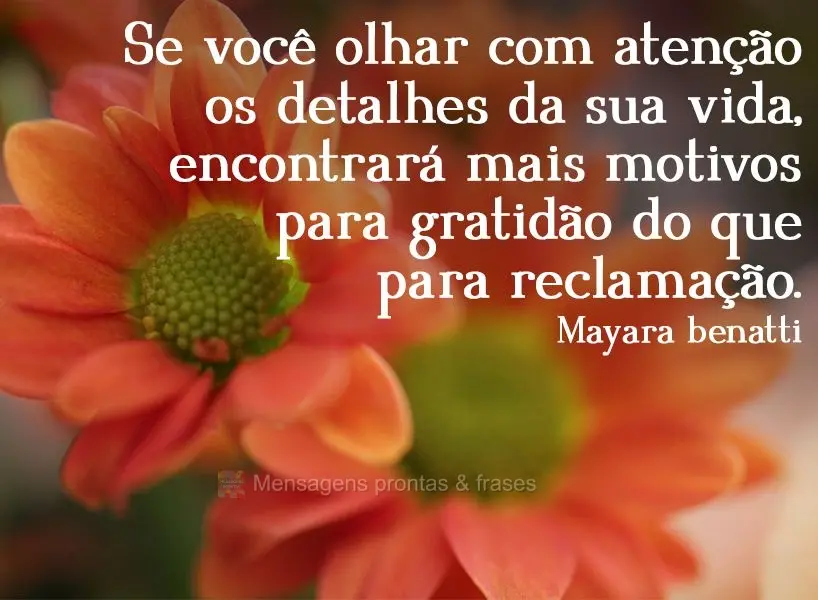 Se você olhar com atenção os detalhes da sua vida, encontrará mais motivos para gratidão do que para reclamação.  Mayara benatti