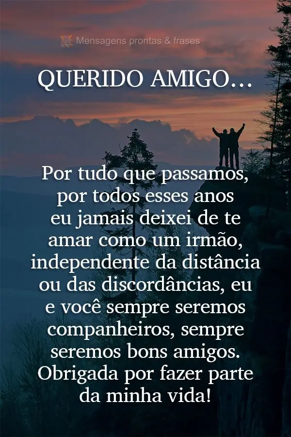 Querido amigo…Por tudo que passamos por todos esses anos, eu jamais deixei de te amar como um irmão, independente da distância ou das discordâncias,...