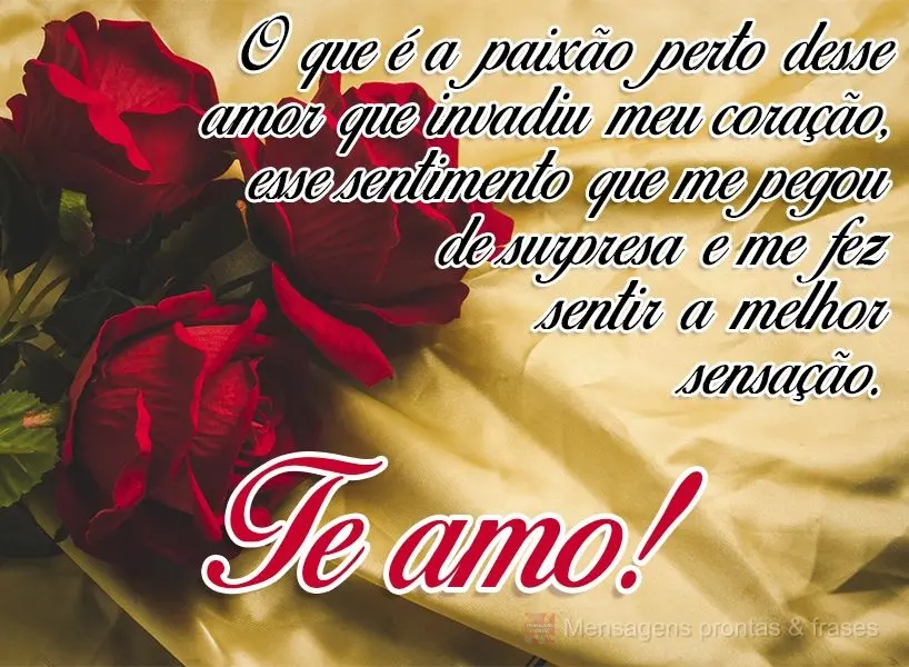 O que é a paixão perto desse amor que invadiu meu coração, esse sentimento que me pegou de surpresa e me fez sentir a melhor sensação.!? Te amo!