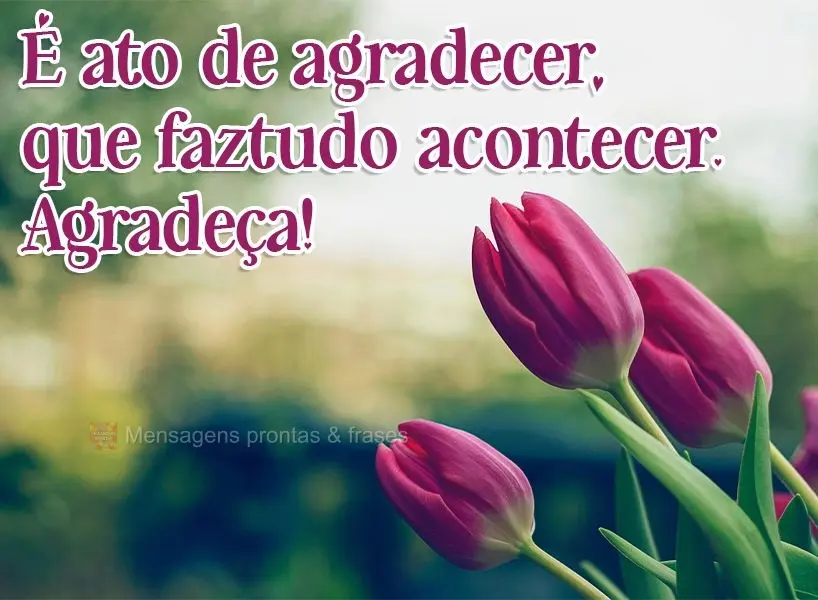 É o ato de agradecer, que faz tudo acontecer. Agradeça!