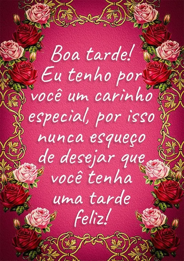 Eu tenho por você um carinho especial, por isso nunca esqueço de desejar que você tenha uma tarde feliz! Boa tarde! 