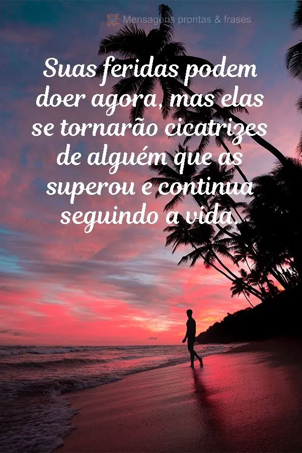 Suas feridas podem doer agora, mas elas se tornarão cicatrizes de alguém que as superou e continua seguindo a vida.