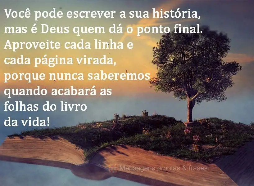 Você pode escrever a sua história, mas é Deus quem dá o ponto final. Aproveite cada linha e cada página virada, porque nunca saberemos quando acabar...