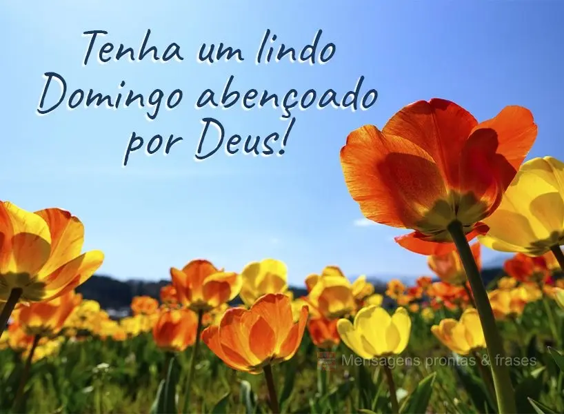 Tenha um lindo Domingo abençoado por Deus!