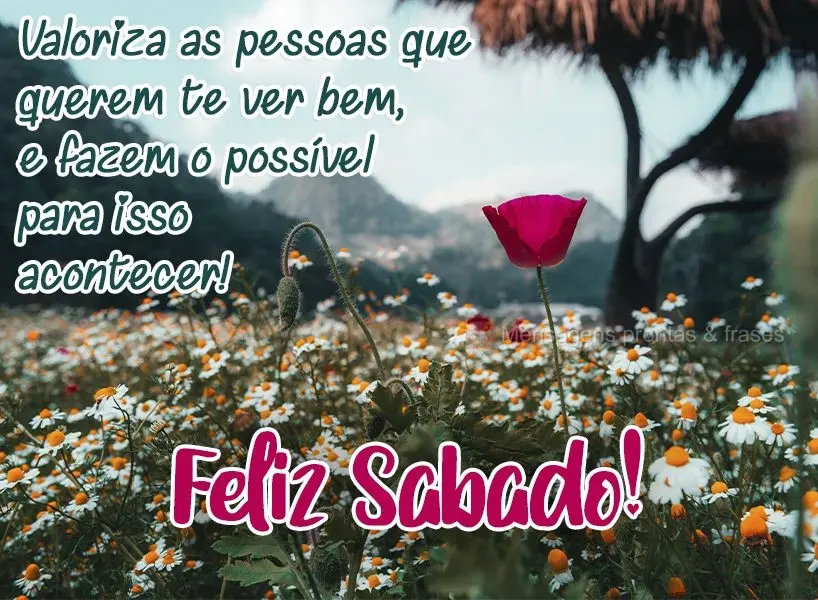 Valoriza as pessoas que querem te ver bem, e fazem o possível para isso acontecer! Feliz Sábado! 