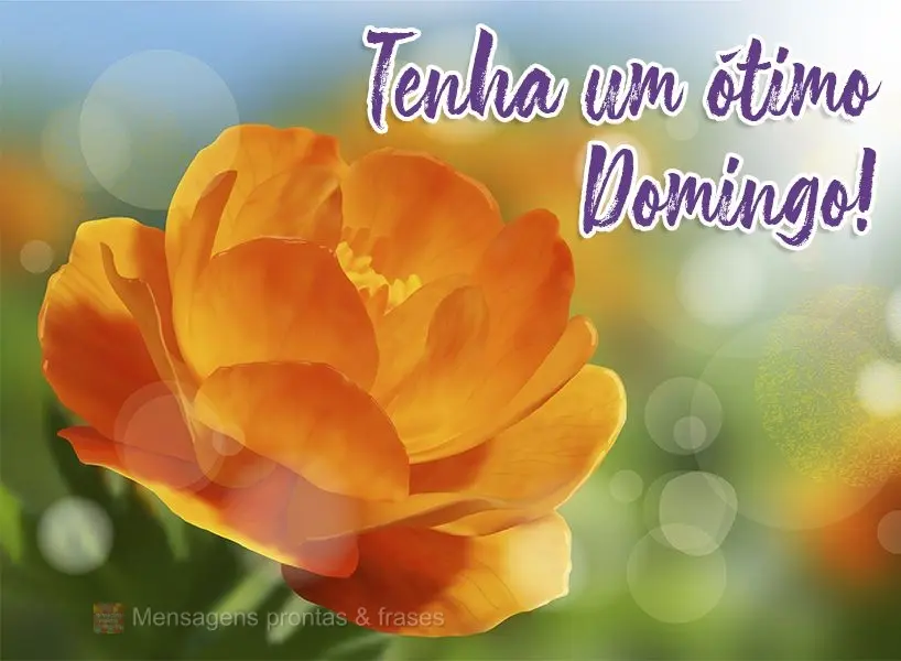 Tenha um ótimo Domingo!