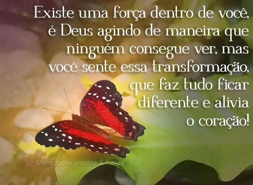 Existe uma força dentro de você, é Deus agindo de maneira que ninguém consegue ver, mas você sente essa transformação, que faz tudo ficar diferent...